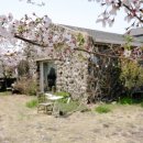 선흘다움 이미지