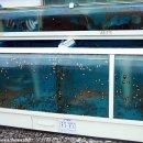 한성식당 이미지