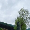 미원센타