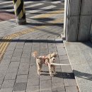 보훈병원 | 보훈병원 성인 실습 후기 🏥