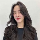 토리헤어 네이버블로그