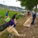 코스모스환경 이미지