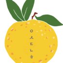 오시다남해 이미지