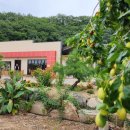 태산농장 1 이미지