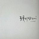 글꽃캘리그라피