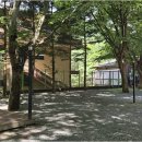 영월힐링숲펜션 | 청정한 법흥사 계곡 옆 영월펜션, 사계절 즐거움 가득한 힐링 캠핑장 후기
