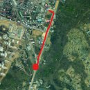 소나무병원 | 하남 맛집 추천 천년소나무 야장 콜키지프리 외부음식 반입 대형 고깃집 단체 가능