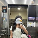 분홍강아지 | 강아지 여름 가방 추천 l 메쉬백 아이캔더 브리즈번백 M사이즈 +내돈내산 후기