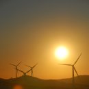 석양목장 이미지