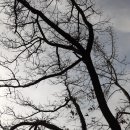 구평동-5 이미지