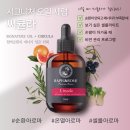 라파롬 써큘라 무너진 순환 밸런스를 깨우는 아로마틱 솔루션