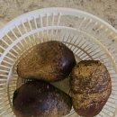 삼신전자 | 임신준비 착상에 좋다는 삼신할매스무디 ❤️🫐🥑 저도 만들어보았어요. 레시피와 효능 정리 📖