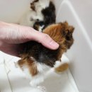 매산리 538 이미지