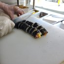 만두와 김밥마을
