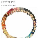 오모차랜드 네이버블로그