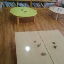 송내초등학교 병설유치원 이미지