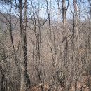 서구-02-40 이미지