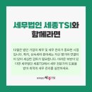 세무법인세종TSI 이미지