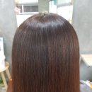 산호동050 이미지