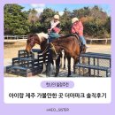 더마파크 | 제주 아이와 가볼 만한 곳 더마파크 승마체험 공연 솔직 후기