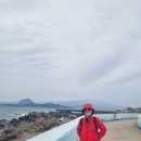 섬속의섬 청보리축제 가파도여행 잘다녀왔어요 ㅎ 이미지