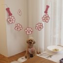 하루맘마 이미지