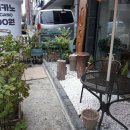 유천네거리 국민은행 앞 이미지