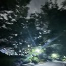 동산고매점