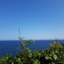 정상보트