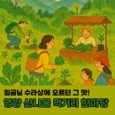 제18회 조지훈예술제 | 영양 산나물 먹거리 한마당 일정 배치도