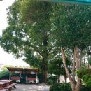 이리북초등학교 이미지