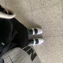 킹콩백화점 청주점