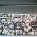 도시어부&미쓰물회 이미지