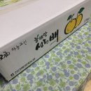 성환-15 이미지