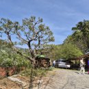 수월산방 이미지