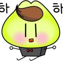 모모사 이미지