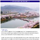 ♣4/1(토)경주 남산과 보문단지 벚꽃 축제(스탬프) 이미지