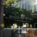 고은 에스테틱 비욘드포스트