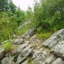 정상농원 이미지