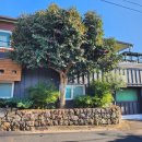 조가물민박 이미지