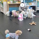 아지스테이션 네이버블로그