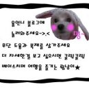돈돼지숯불구이 이미지