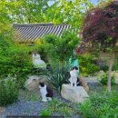 정*수(경기82배1528) | 전주 한옥마을 한복 대여 체험 후기 (일상애)