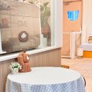 견생맛집 이미지