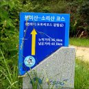 우정벌목