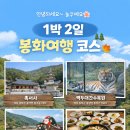 봉화군청 | [경북 봉화군] 봉화 "1박2일" / 봉화 "당일치기" 여행코스 추천🌿