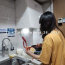 강정누림 | [강원] 고성/속초 1박 2일 시끄럽고 배부른 바다 여행