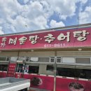 유가 | [대구 구지 맛집] 어탕 수제비가 맛있는 '유가 매운탕' 내돈내산 후기