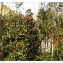 남욱농장 이미지