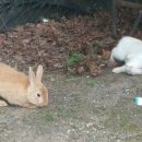 태평테니스장 이미지